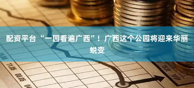 配资平台 “一园看遍广西”！广西这个公园将迎来华丽蜕变