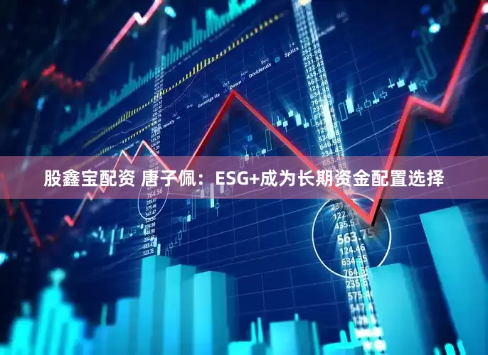 股鑫宝配资 唐子佩：ESG+成为长期资金配置选择