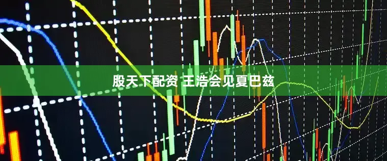 股天下配资 王浩会见夏巴兹